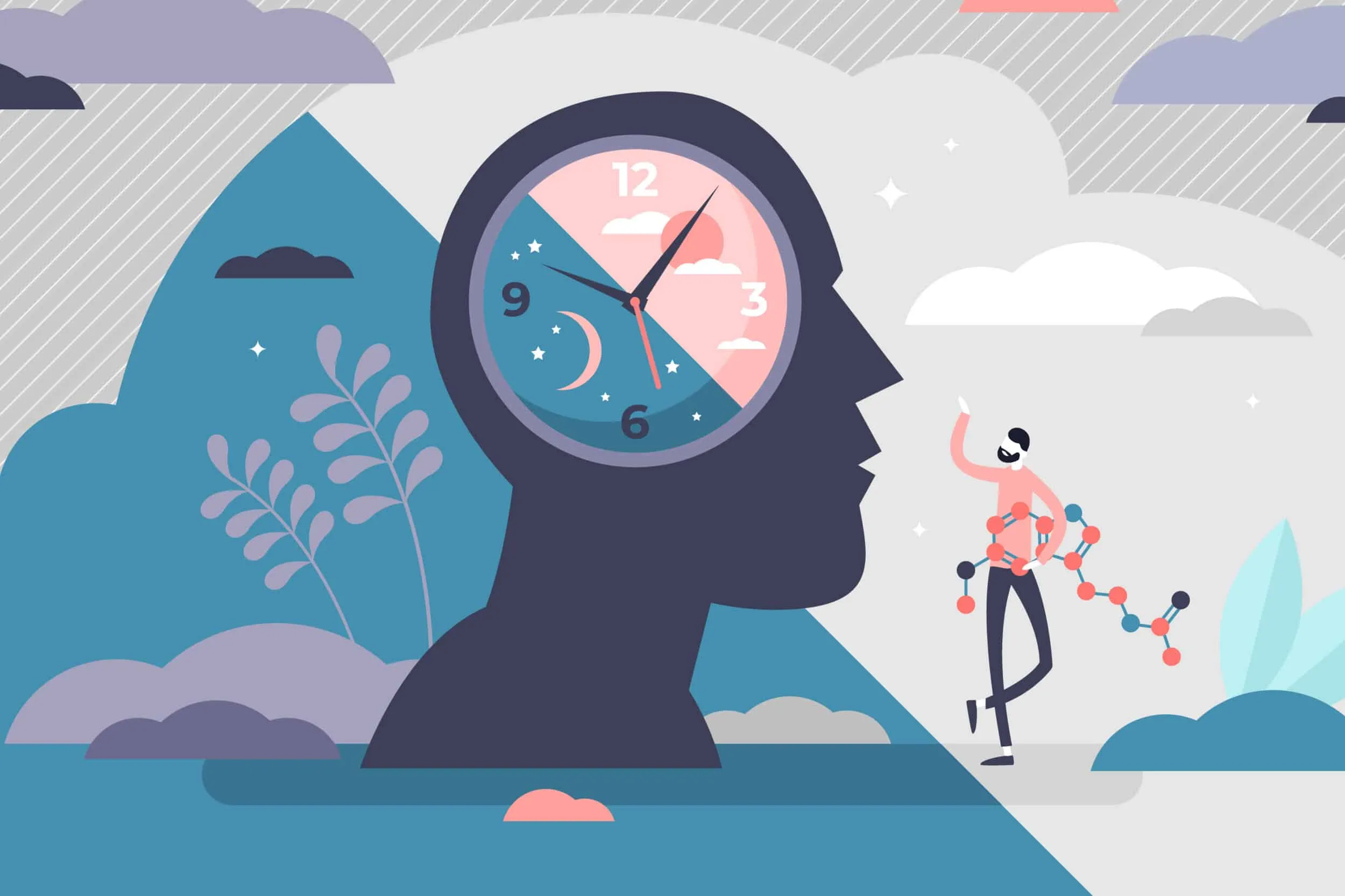Circadian rhythm